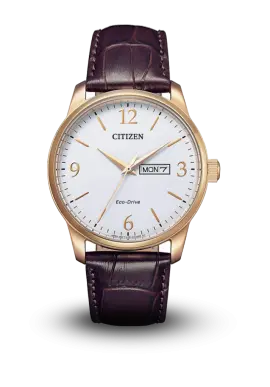 Citizen | Eco-Drive | Gent | BM8553-16A