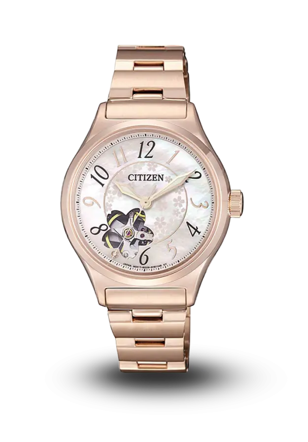 CITIZEN - MECHANICAL - AUTOMATIC  - PC1007-65D şəkil