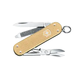 VICTORINOX-SMALL POCKET-58MM CLASSIC RANGE-0.6221.L19