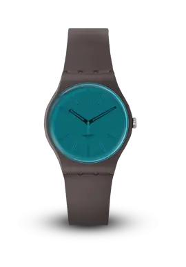 Swatch | Originals | Essentials | SO29C100