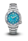 Citizen | Promaster | Marine | BN0165-55L şəkil