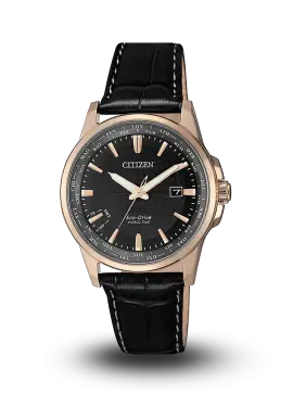 CITIZEN - ECO-DRIVE - STANDARD - BX1008-12E