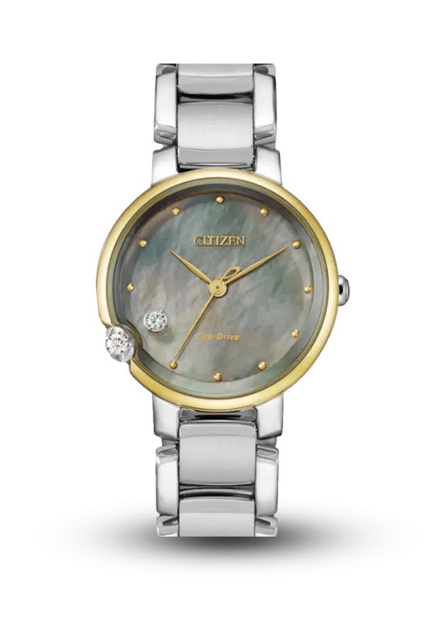 Citizen | Citizen L | Eco Drive | EW5584-81Y şəkil